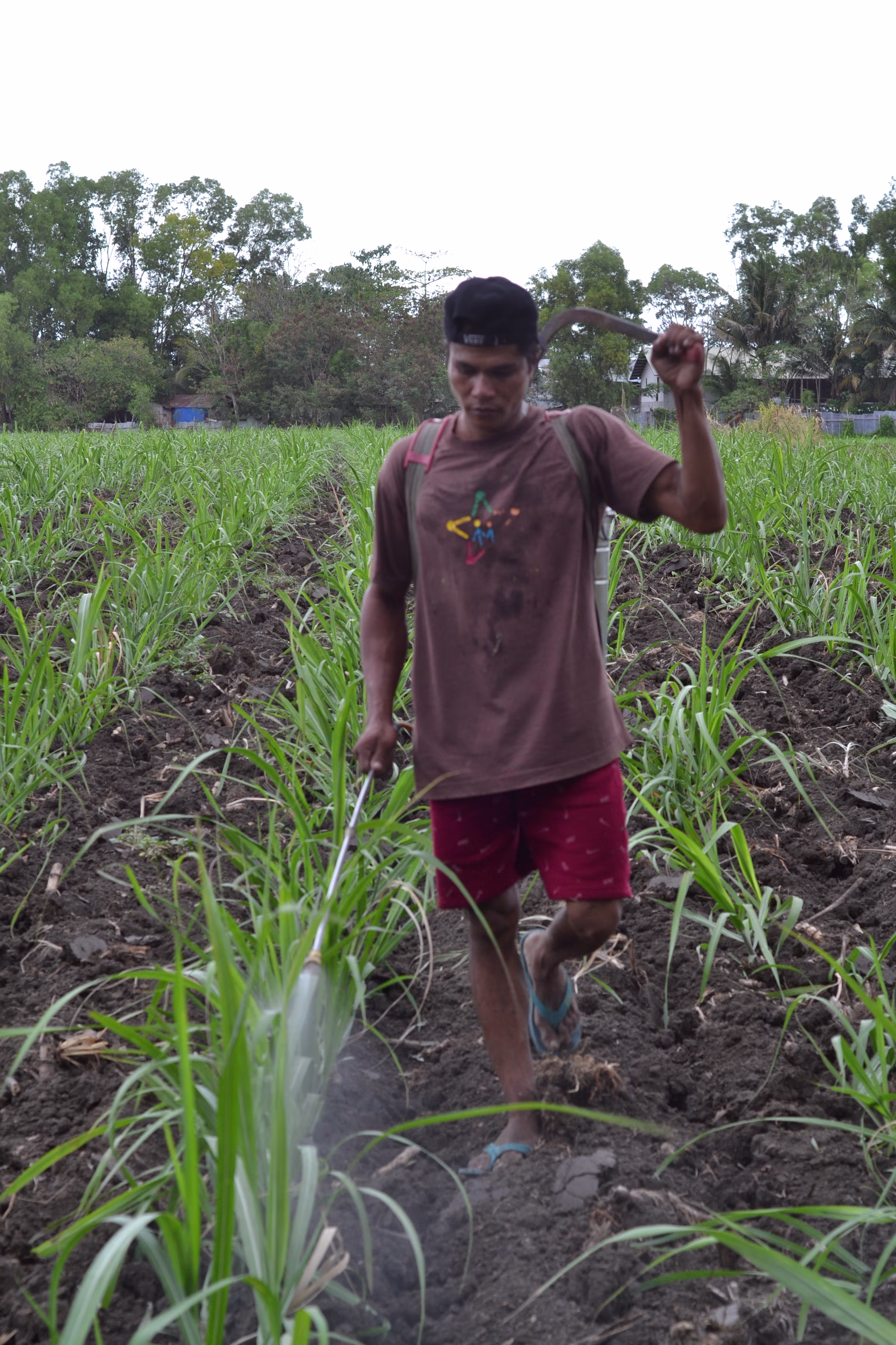 Nutrio, in the field